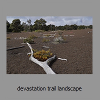 devastation trail landscape
